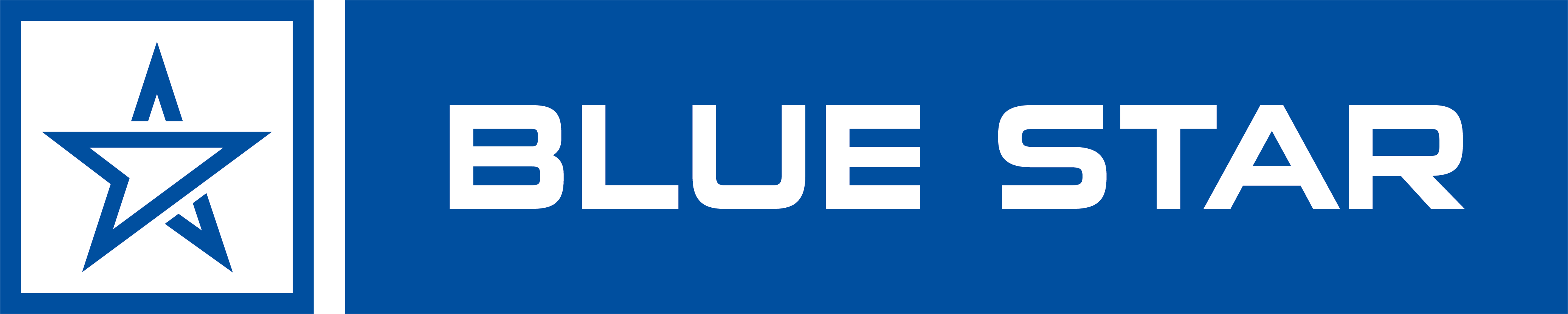 Blue Star primary logo