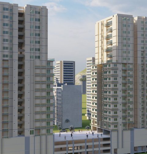 image (6)